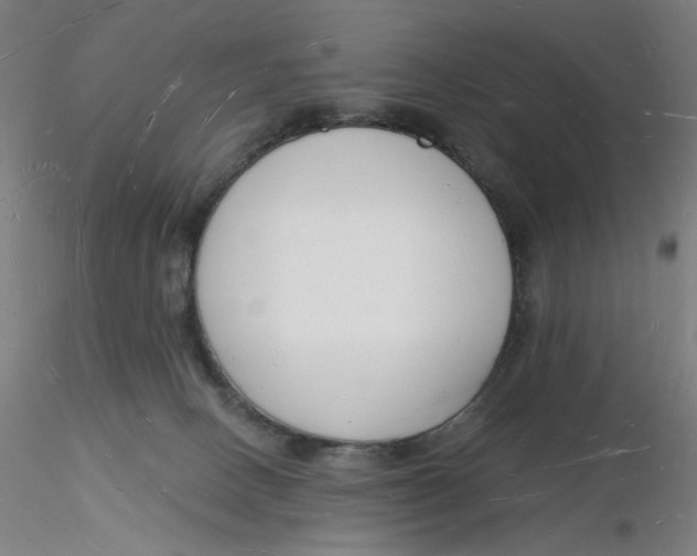 X0000116130082200912211724