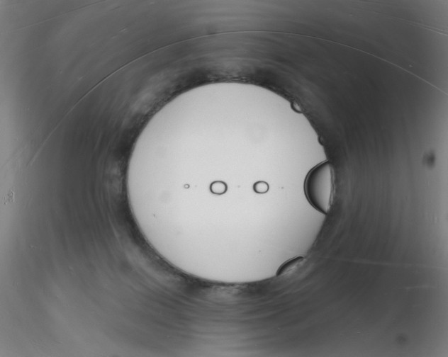 X0000116130086200912211724