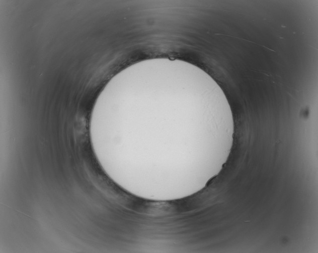 X0000116130087200912211724
