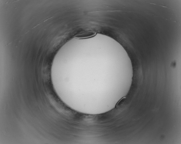 X0000116130088200912211724