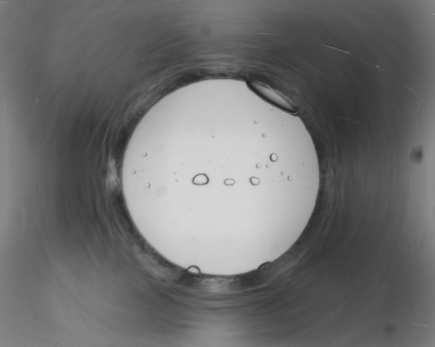 X0000116130089200912211724