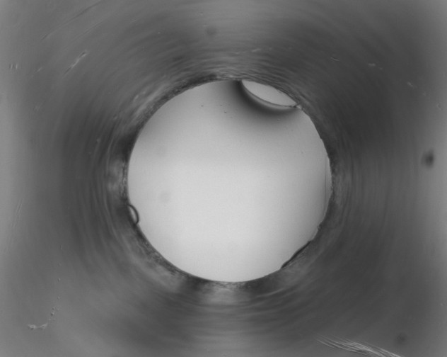 X0000116130093200912211724
