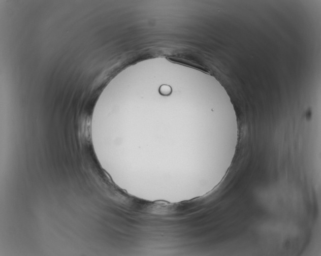 X0000116130094200912211724