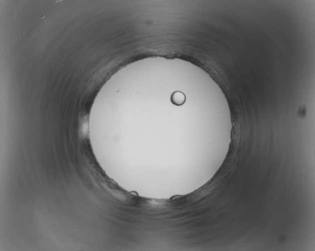 X0000116130095200912211724