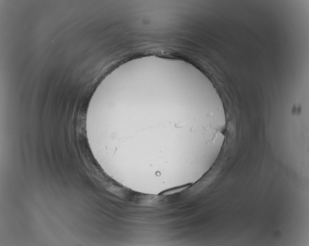 X0000116130096200912211724