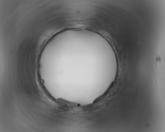 X0000116130097200912211723