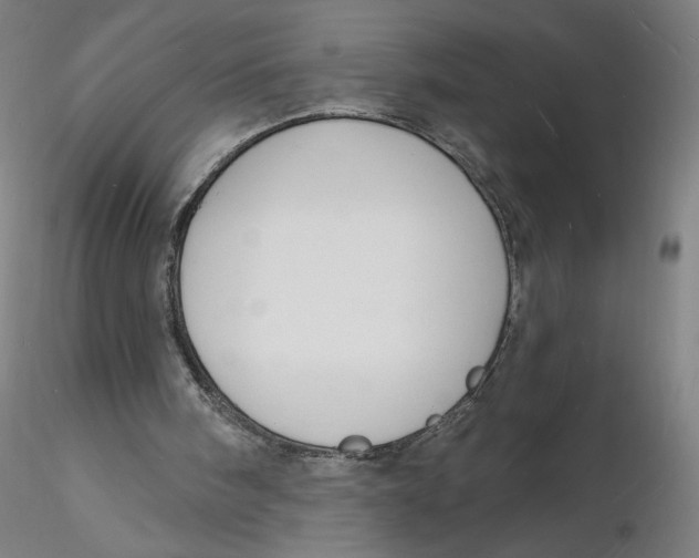 X0000116130098200912211723