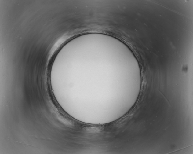 X0000116130102200912211723