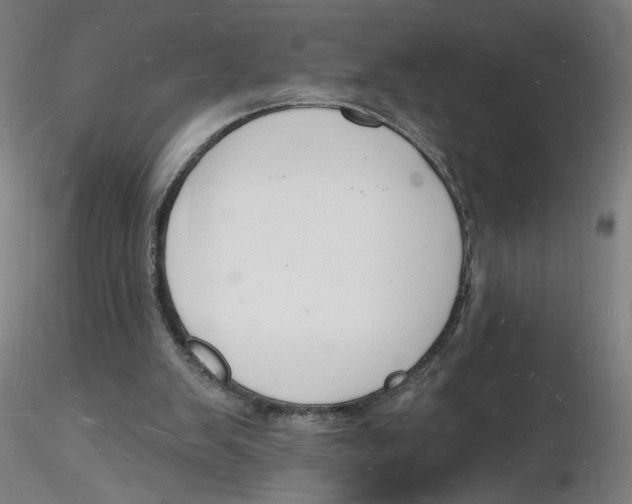 X0000116130103200912211723