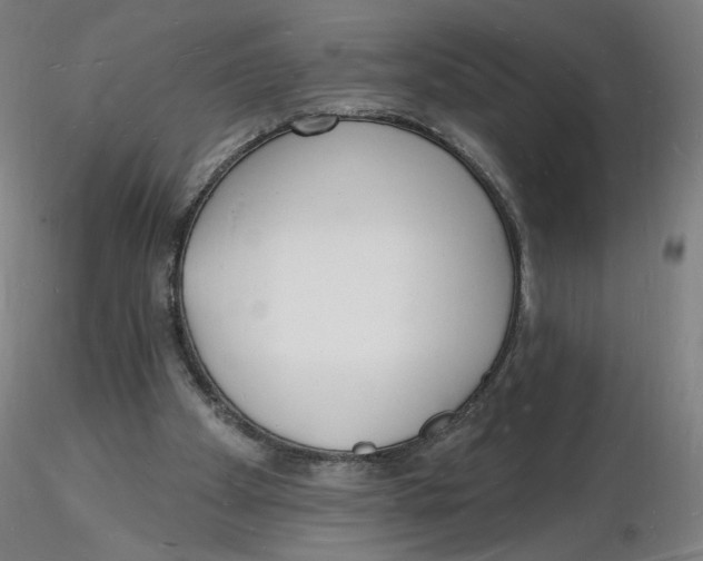 X0000116130105200912211723