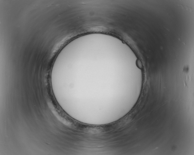 X0000116130106200912211723