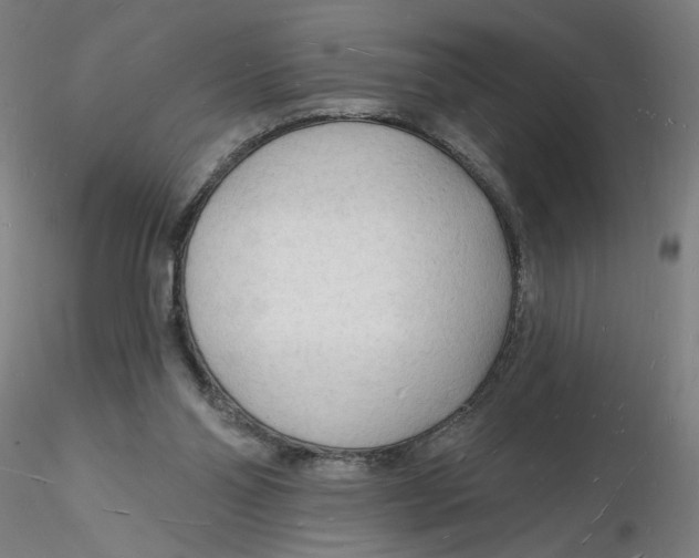 X0000116130110200912211723