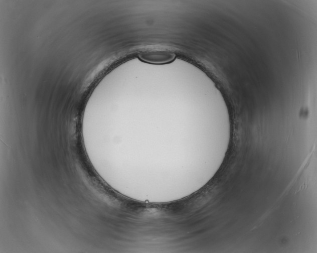 X0000116130111200912211723