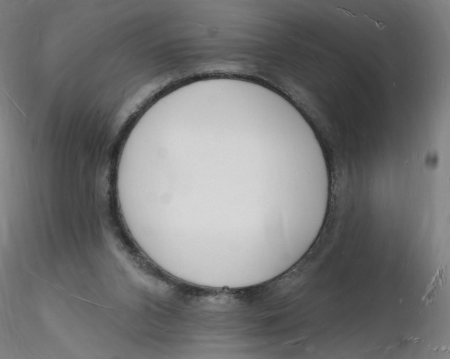 X0000116130112200912211723