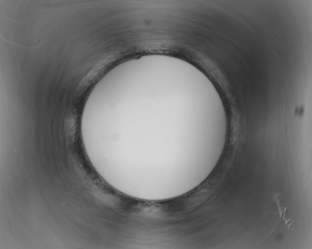 X0000116130113200912211723