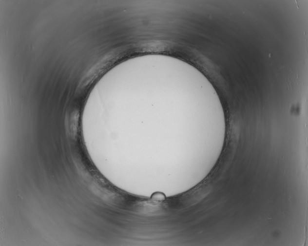 X0000116130118200912211723