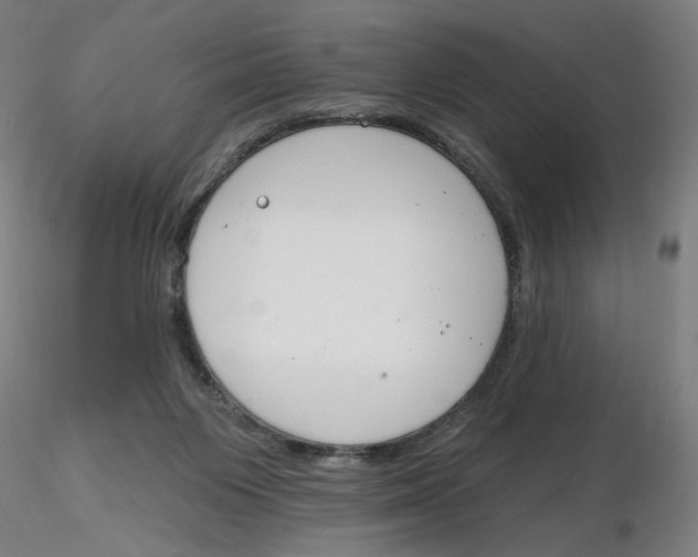 X0000116130119200912211723