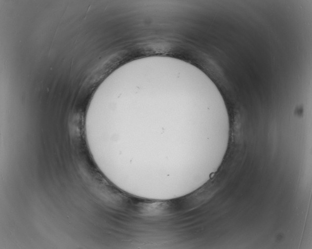 X0000116130122200912211723