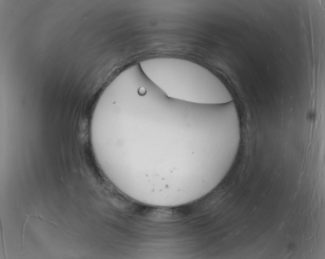 X0000116130123200912211723