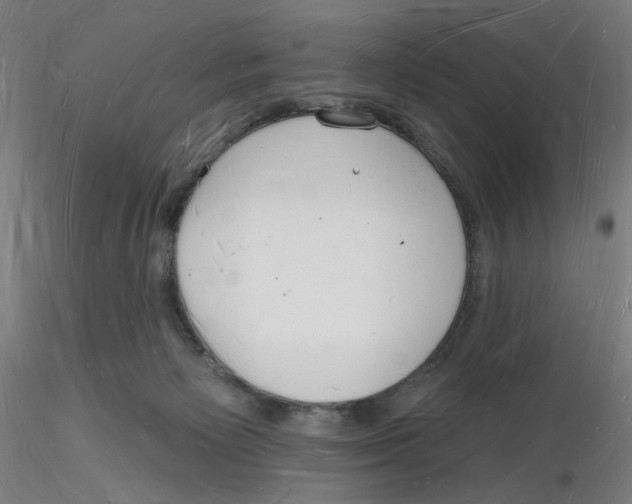 X0000116130125200912211723