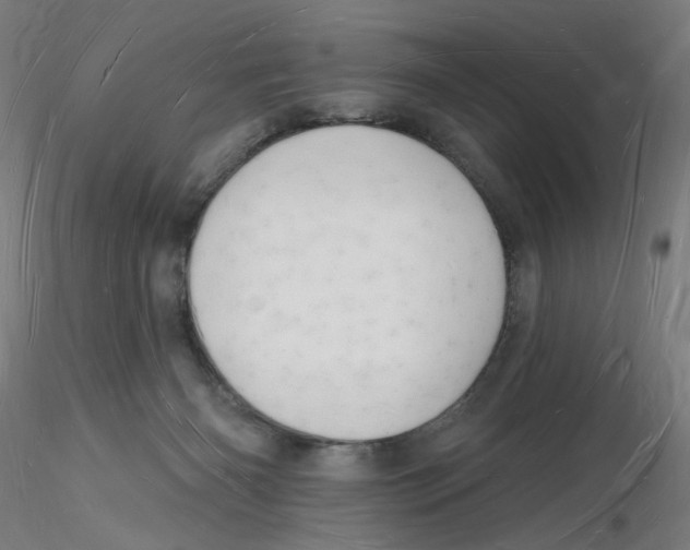 X0000116130126200912211723