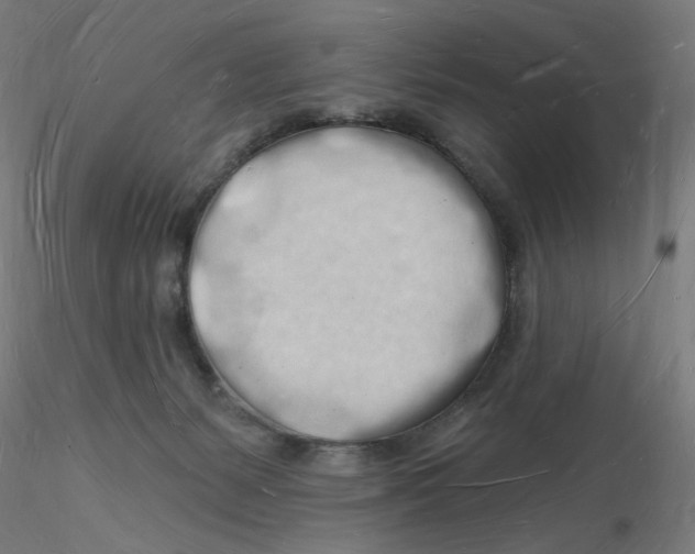 X0000116130127200912211723