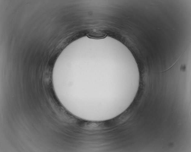 X0000116130129200912211723