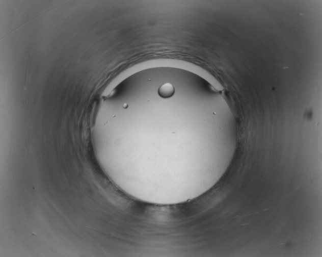 X0000116130131200912211723