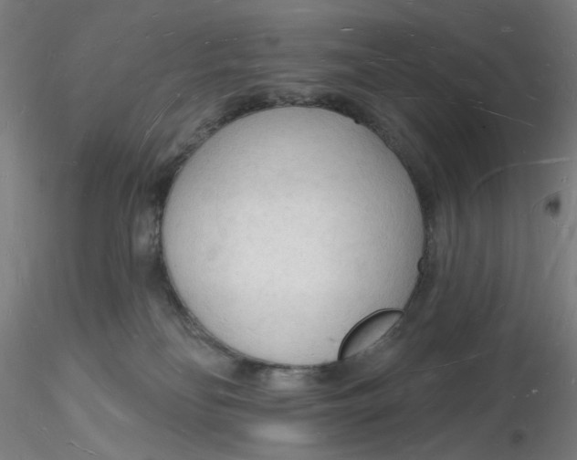X0000116130134200912211723