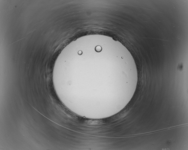 X0000116130135200912211723
