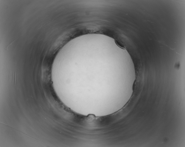 X0000116130136200912211723