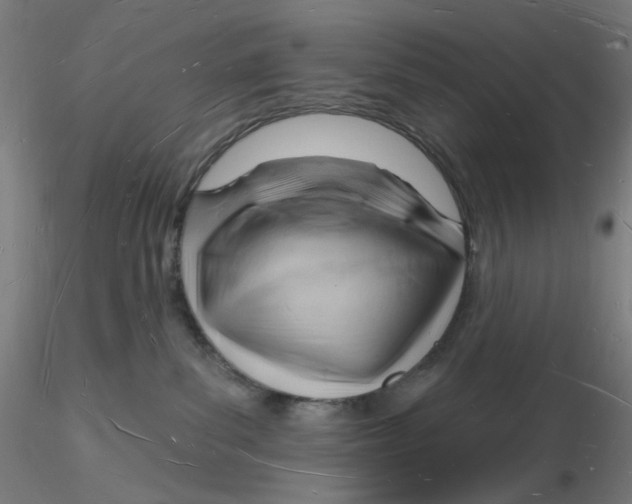 X0000116130139200912211723