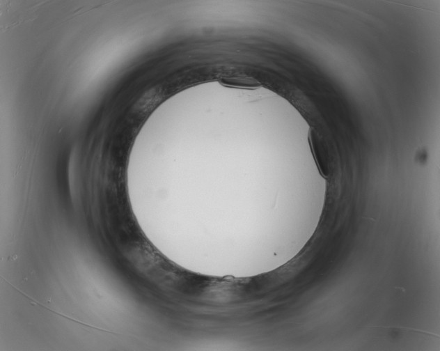 X0000116130140200912211723