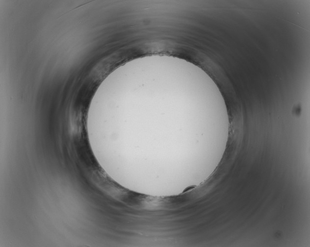 X0000116130142200912211723