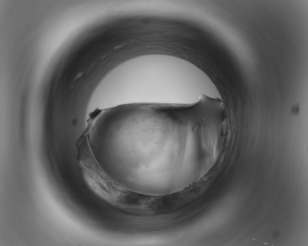 X0000116130143200912211723
