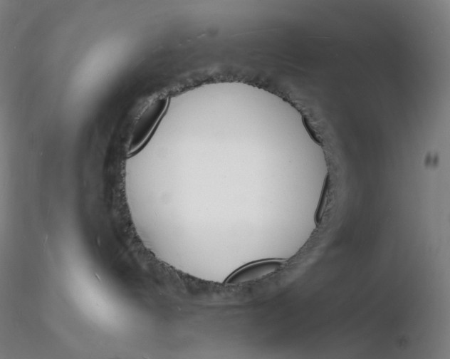 X0000116130144200912211723
