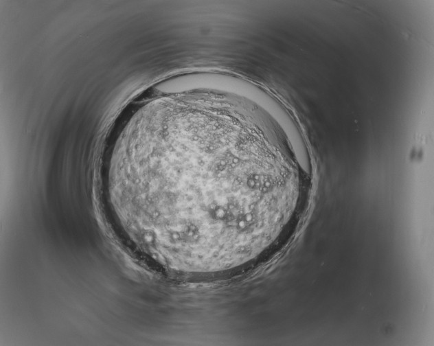 X0000116130145200912211722