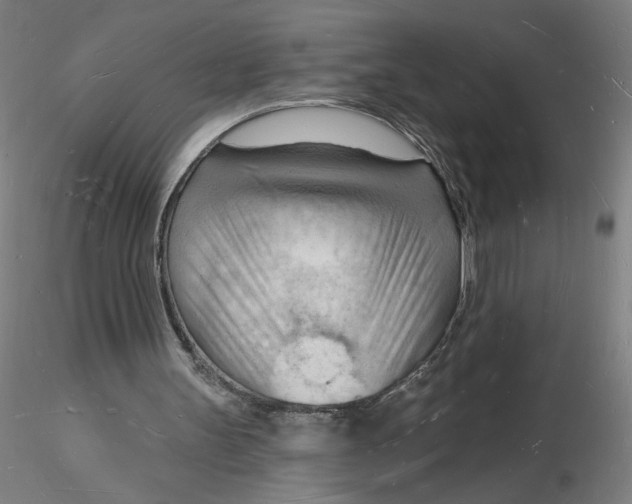 X0000116130147200912211722