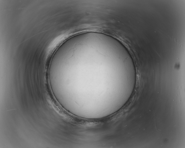 X0000116130149200912211722