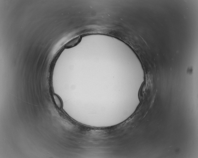 X0000116130150200912211722