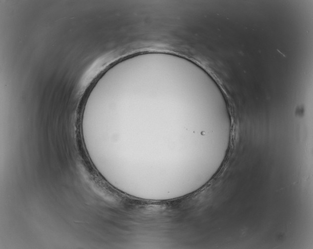 X0000116130151200912211722