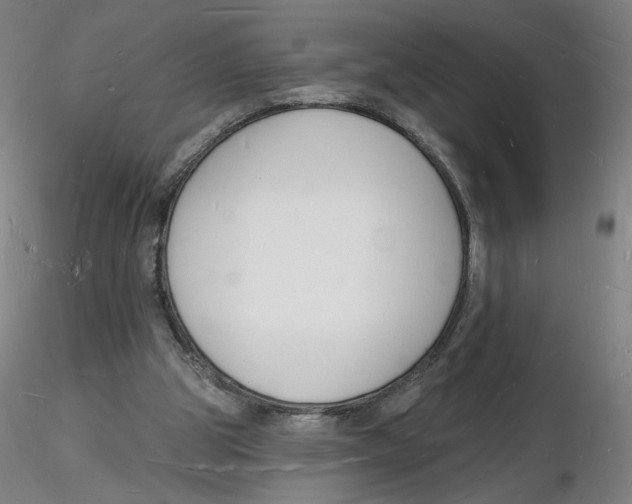 X0000116130153200912211722