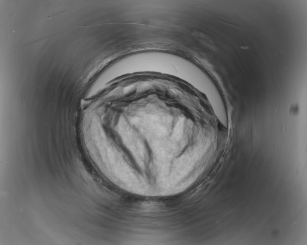 X0000116130154200912211722