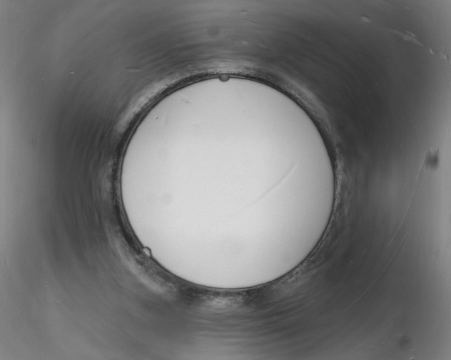 X0000116130155200912211722