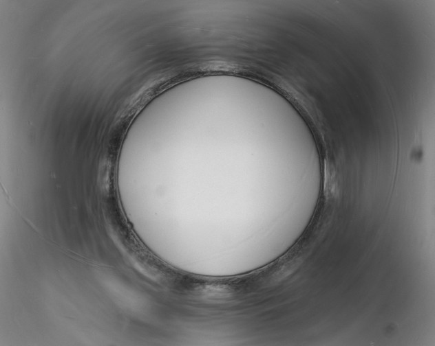 X0000116130157200912211722