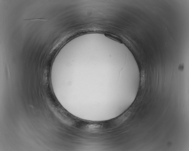 X0000116130158200912211722