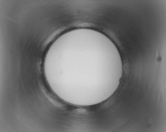 X0000116130159200912211722