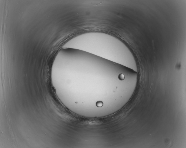 X0000116130165200912211722