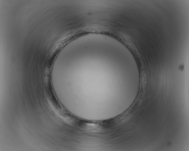 X0000116130167200912211722