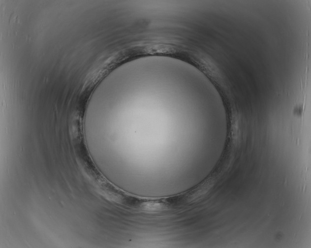 X0000116130169200912211722